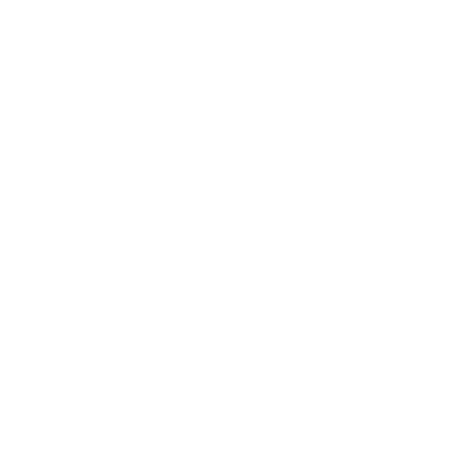 CSS logo